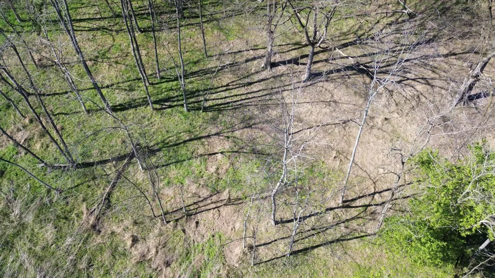 0 Blackberry Ridge Way Smithville, TN 37166
