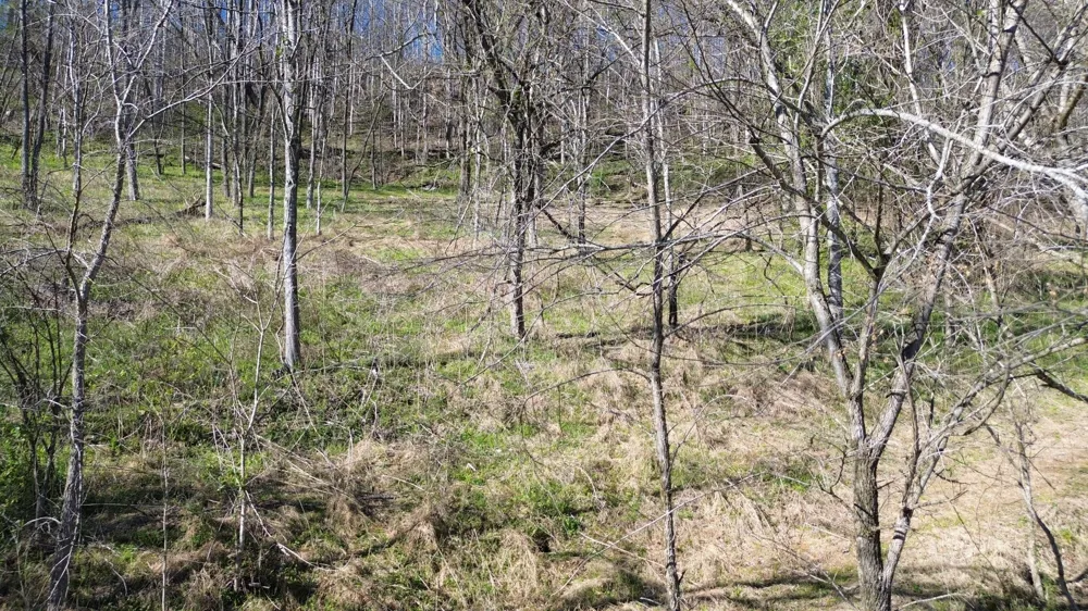 0 Blackberry Ridge Way Smithville, TN 37166