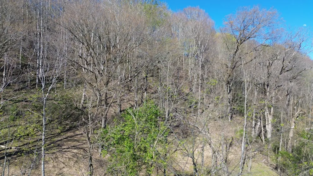 0 Blackberry Ridge Way Smithville, TN 37166