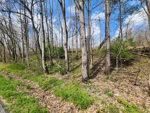 0 Gossett Rd