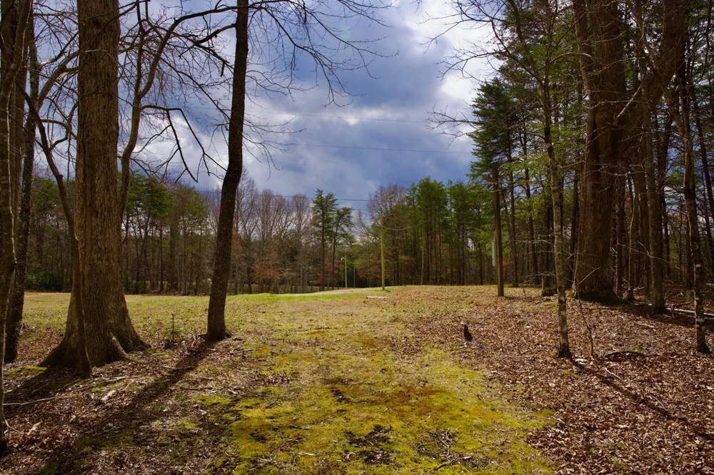 0 Daus Mountain Rd Palmer, TN 37365