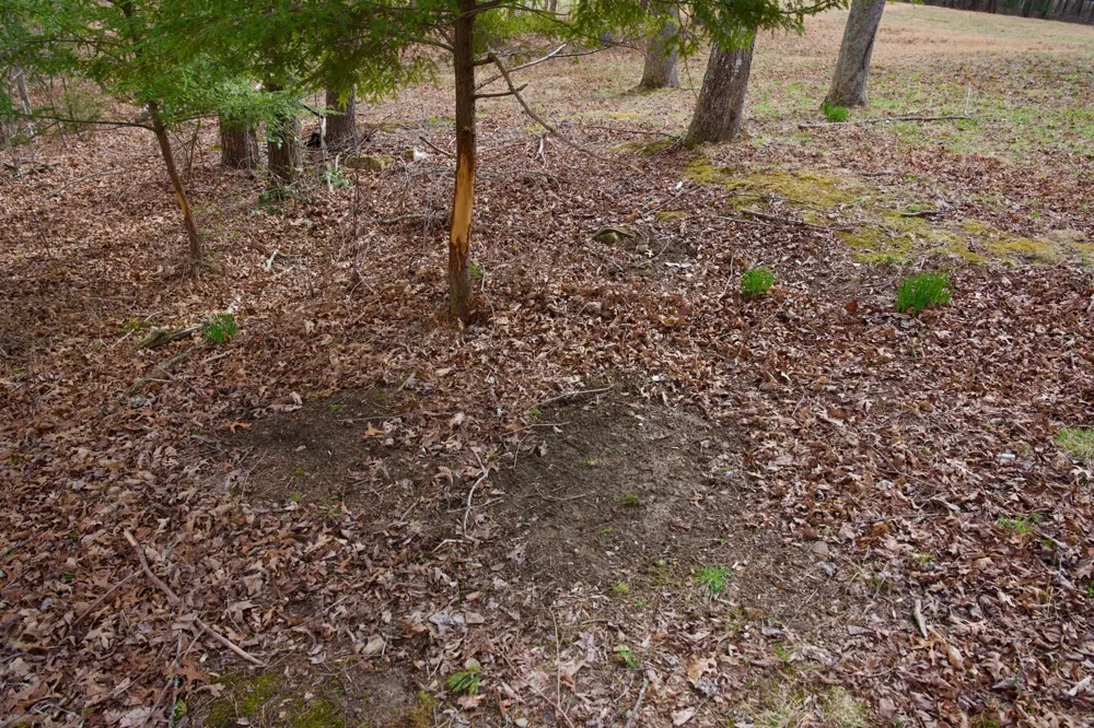 0 Daus Mountain Rd Palmer, TN 37365