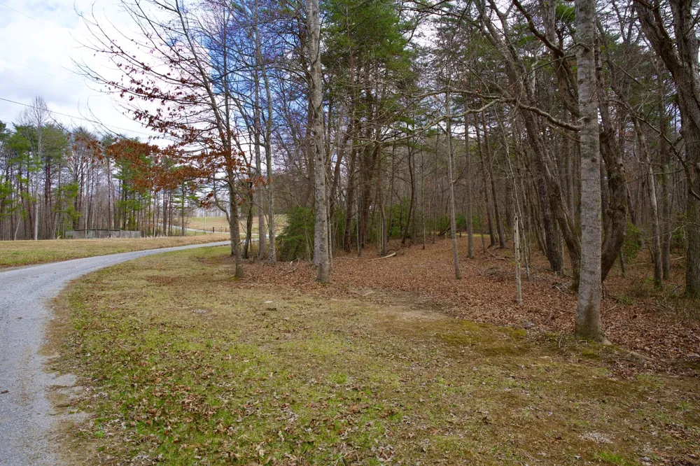 0 Daus Mountain Rd Palmer, TN 37365