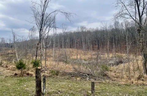 0 Jackson Point Rd