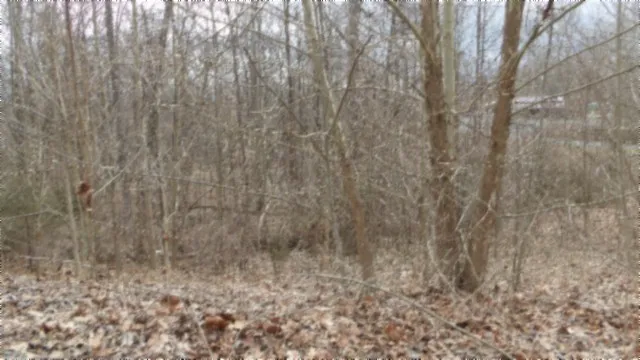 0 Beaver Lane Gainesboro, TN 38562