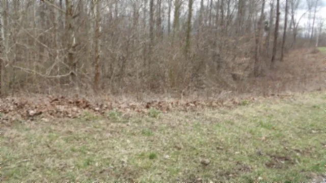 0 Beaver Lane Gainesboro, TN 38562