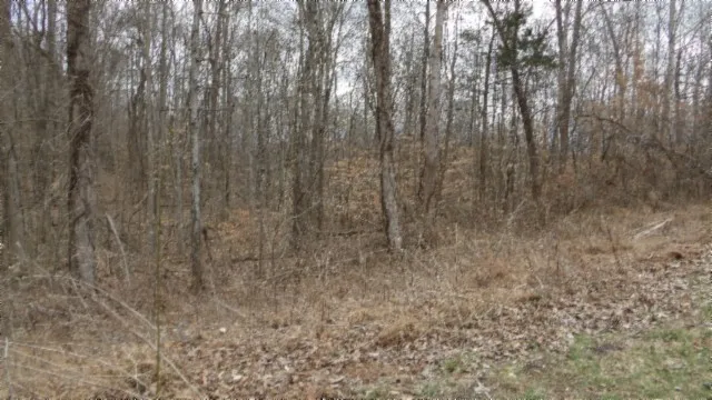 0 Beaver Lane Gainesboro, TN 38562