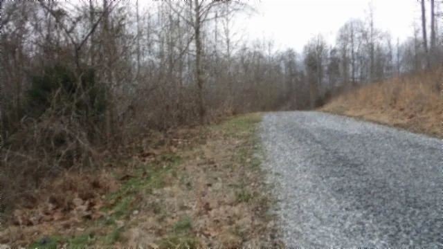 0 Beaver Lane Gainesboro, TN 38562
