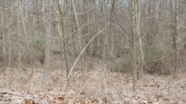 0 Beaver Lane Gainesboro, TN 38562