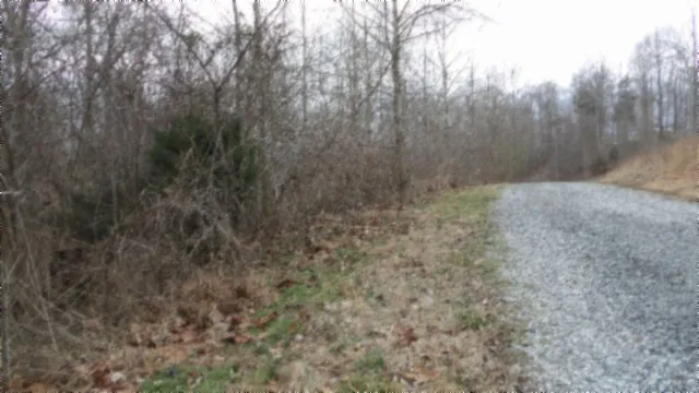0 Beaver Lane Gainesboro, TN 38562