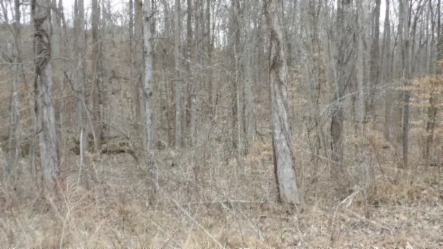 0 Beaver Lane Gainesboro, TN 38562