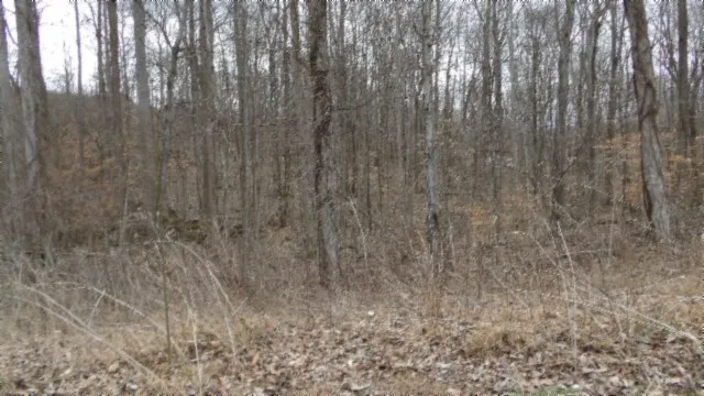 0 Beaver Lane Gainesboro, TN 38562