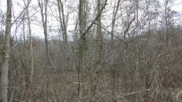 0 Beaver Lane Gainesboro, TN 38562