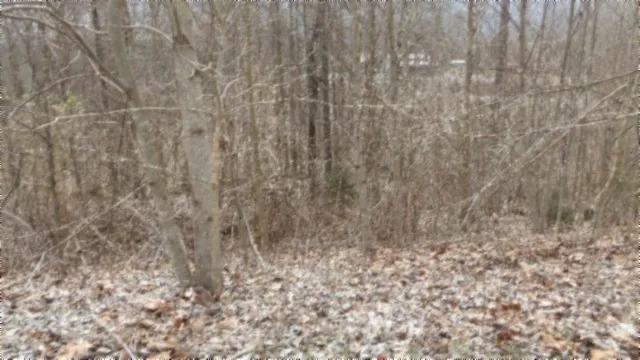 0 Beaver Lane Gainesboro, TN 38562