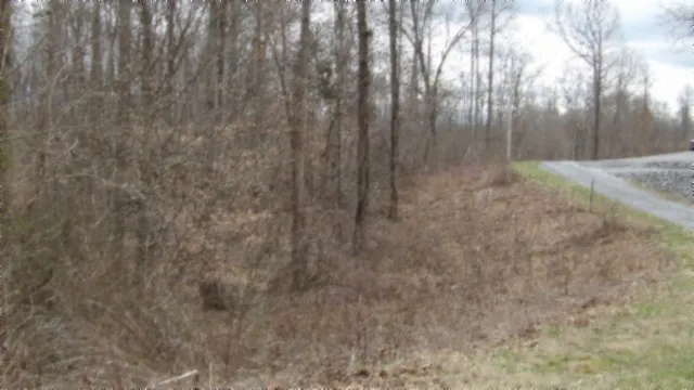 0 Beaver Lane Gainesboro, TN 38562