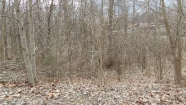 0 Beaver Lane Gainesboro, TN 38562