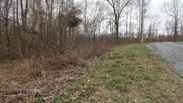 0 Beaver Lane Gainesboro, TN 38562