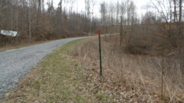 0 Beaver Lane Gainesboro, TN 38562