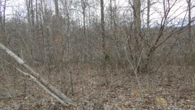 0 Beaver Lane Gainesboro, TN 38562