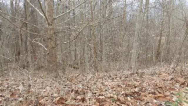 0 Beaver Lane Gainesboro, TN 38562