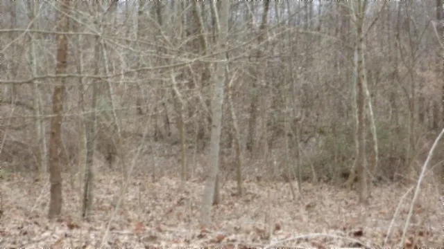 0 Beaver Lane Gainesboro, TN 38562