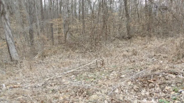 0 Beaver Lane Gainesboro, TN 38562