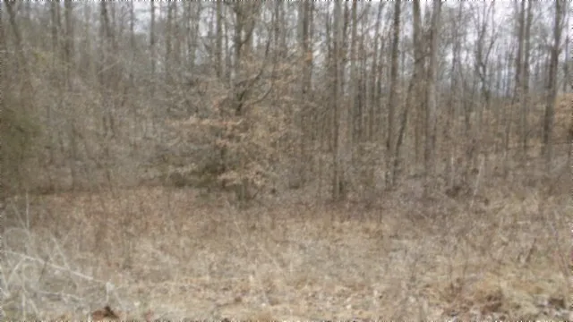 0 Beaver Lane Gainesboro, TN 38562