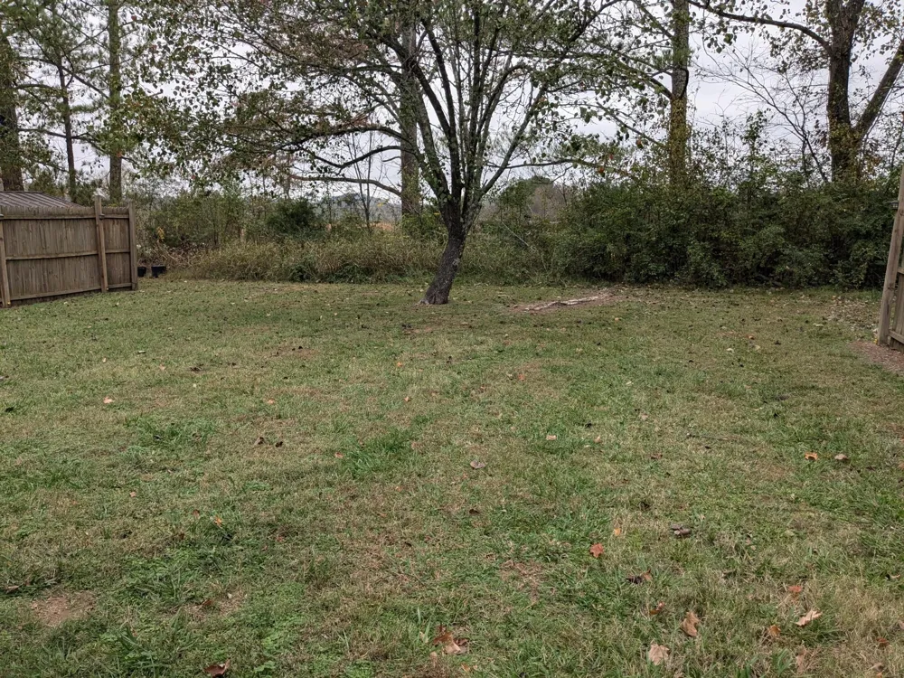 413 Shawnee Dr Columbia, TN 38401