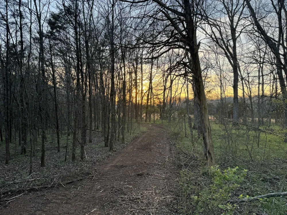 0 Joe Peay Road Spring Hill, TN 37174