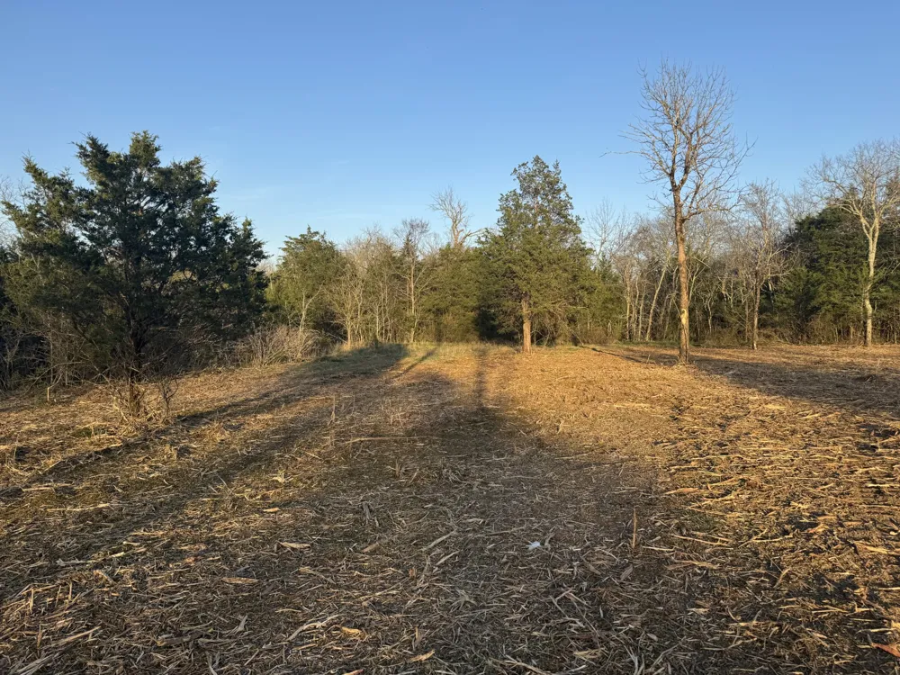 0 Joe Peay Road Spring Hill, TN 37174