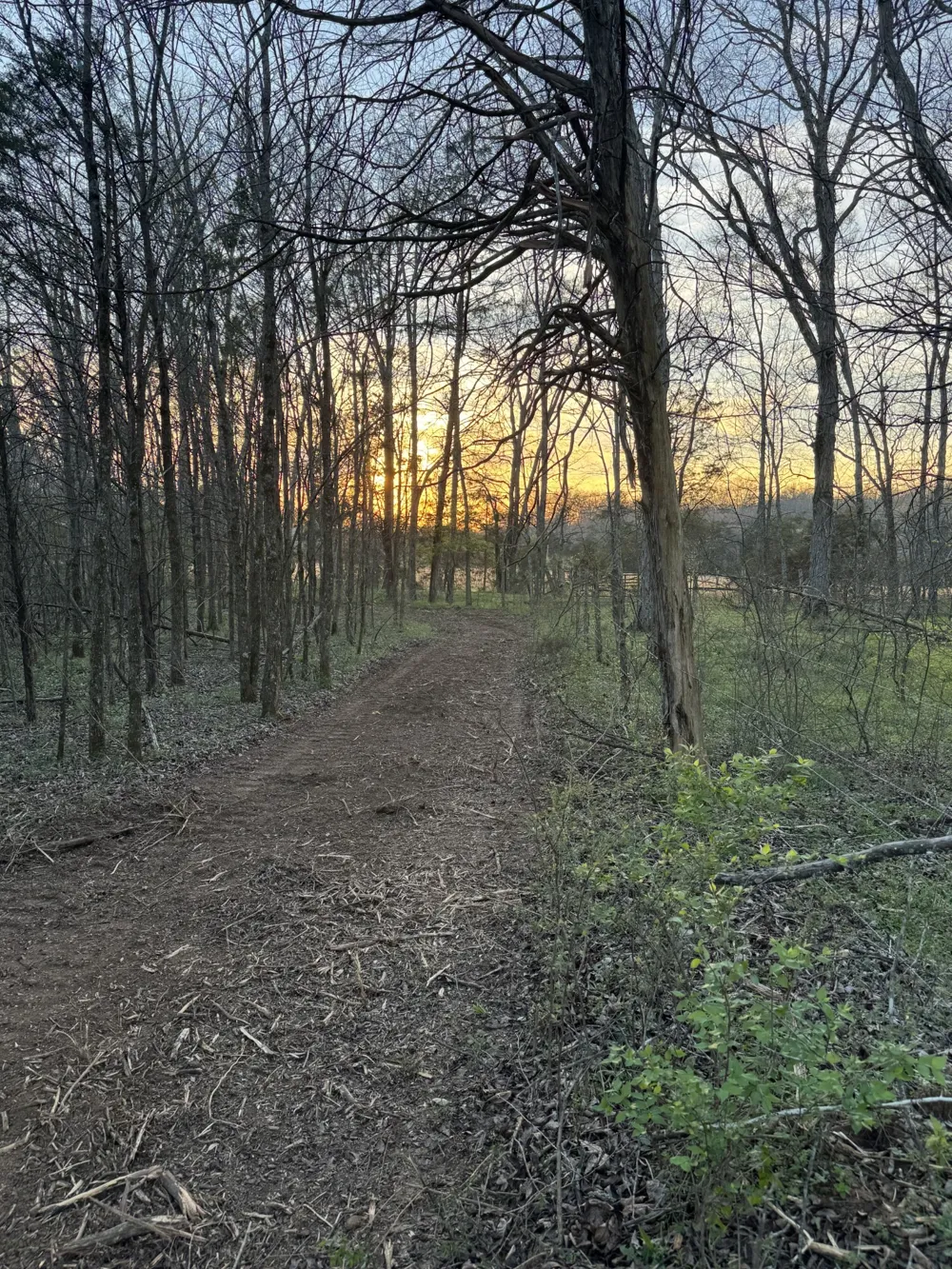 0 Joe Peay Road Spring Hill, TN 37174