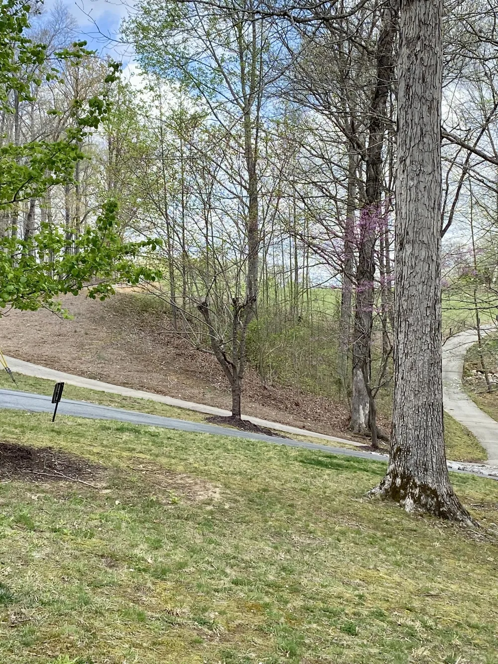 0 Harbor Green Pl Sparta, TN 38583