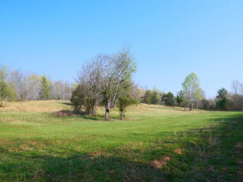 0 Daugherty Ferry Road