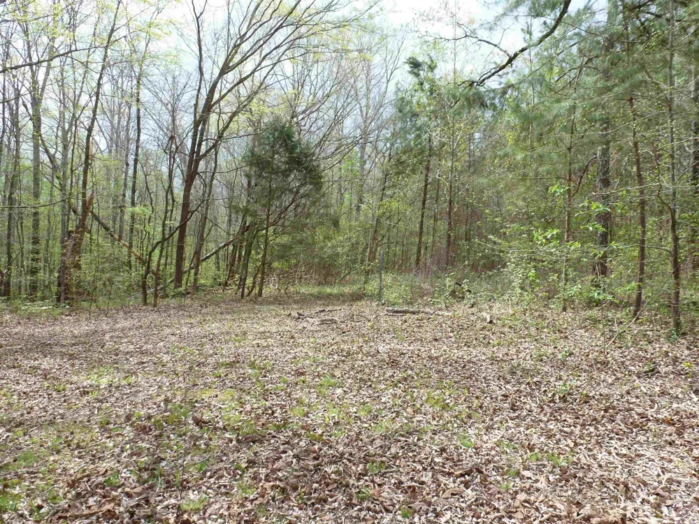 2330 Ligon Springs Rd Russellville, AL 35654
