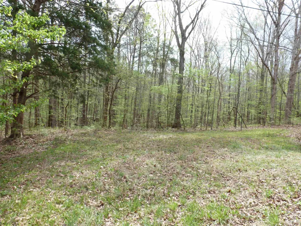 2330 Ligon Springs Rd Russellville, AL 35654