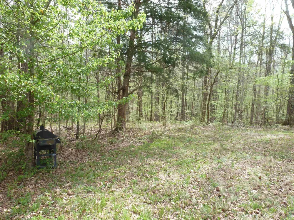 2330 Ligon Springs Rd Russellville, AL 35654