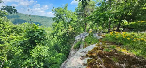0 Roth Point Road