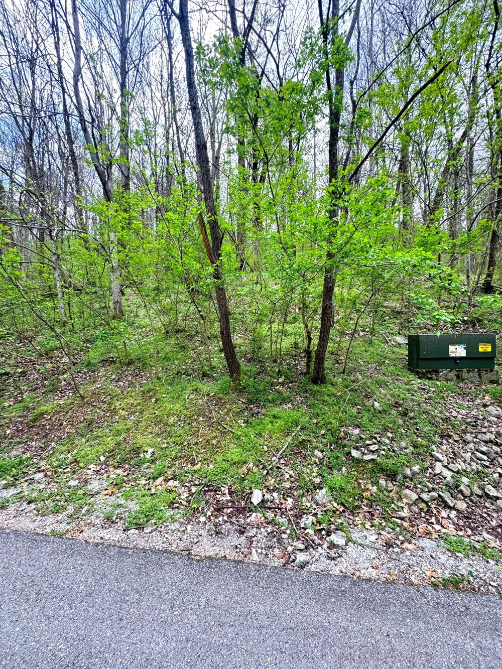 0 Lakeview Dr Smithville, TN 37166
