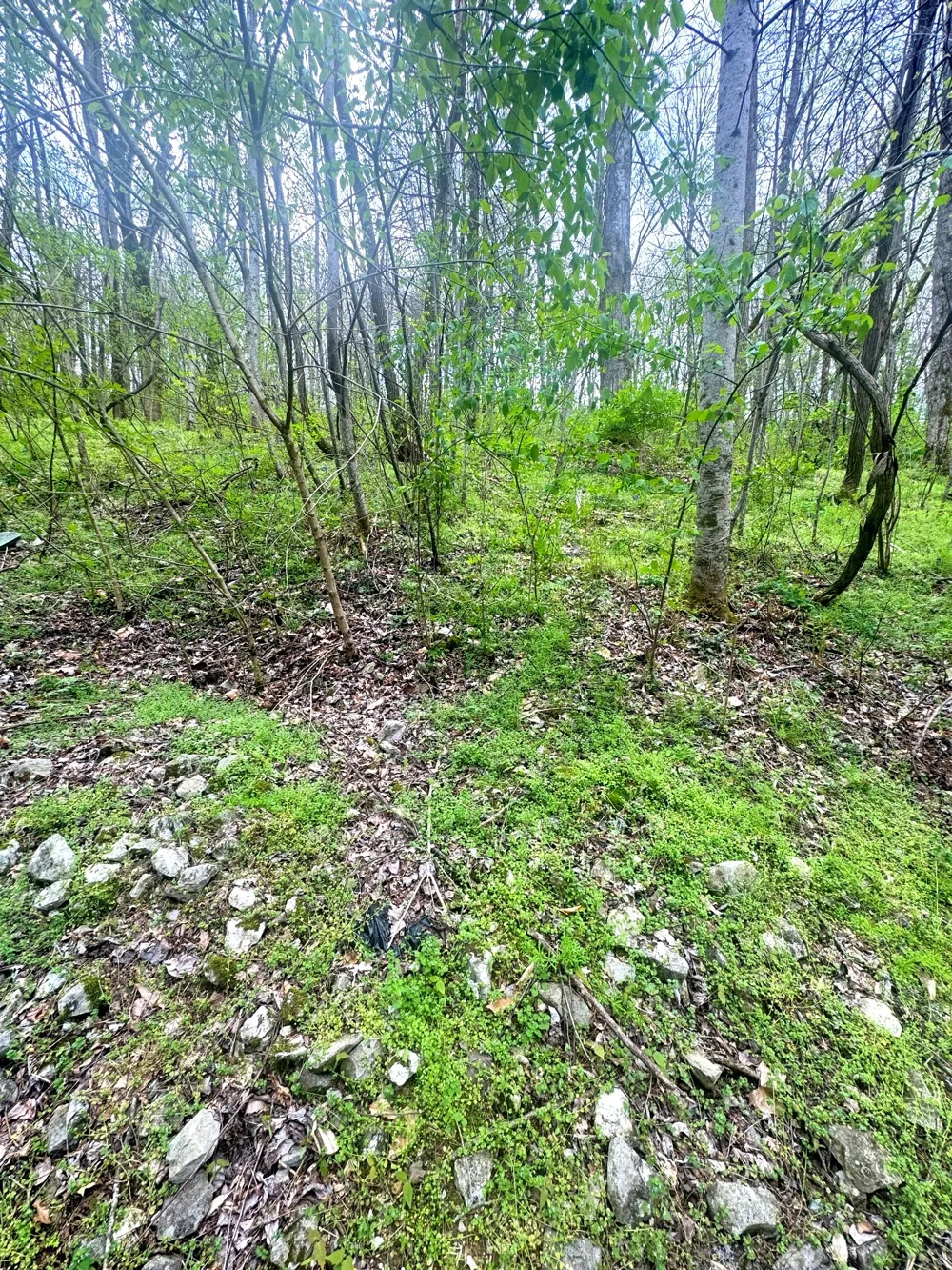 0 Lakeview Dr Smithville, TN 37166
