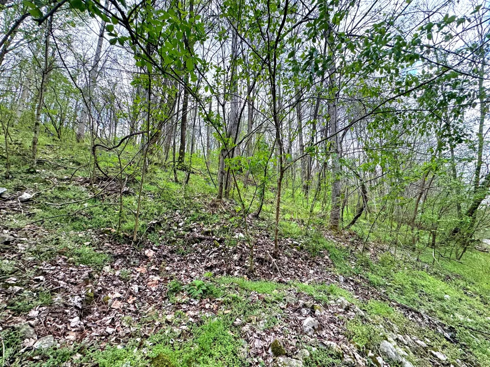 0 Lakeview Dr Smithville, TN 37166