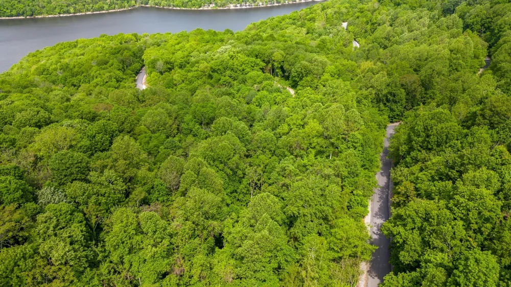 0 Lakeview Dr Smithville, TN 37166
