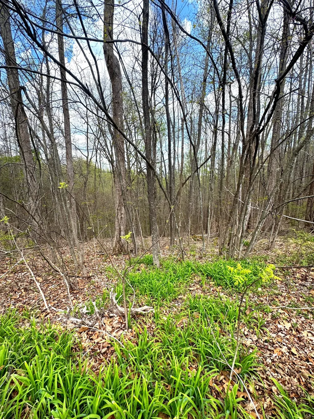 0 Coconut Ridge Rd Smithville, TN 37166