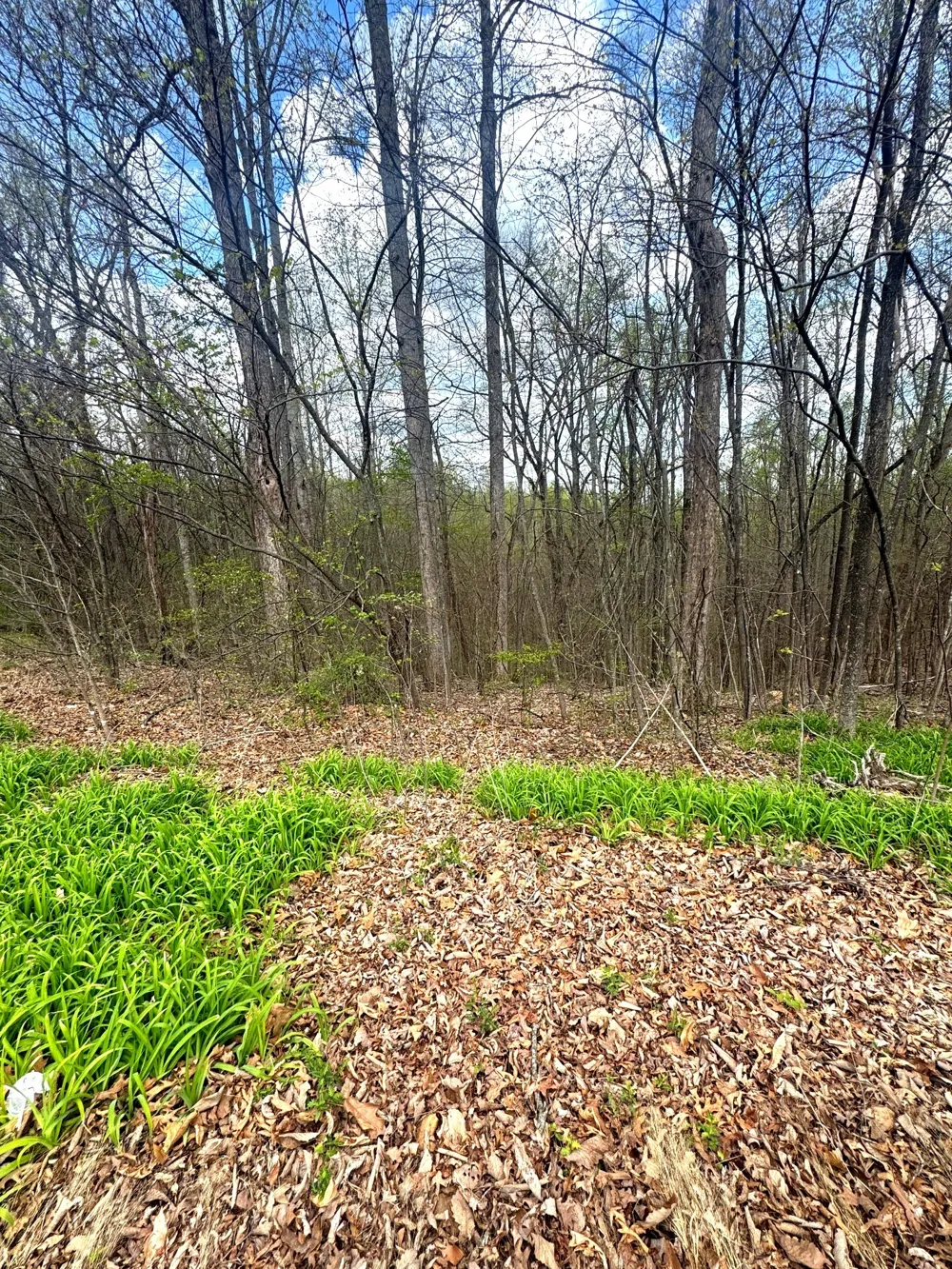 0 Coconut Ridge Rd Smithville, TN 37166