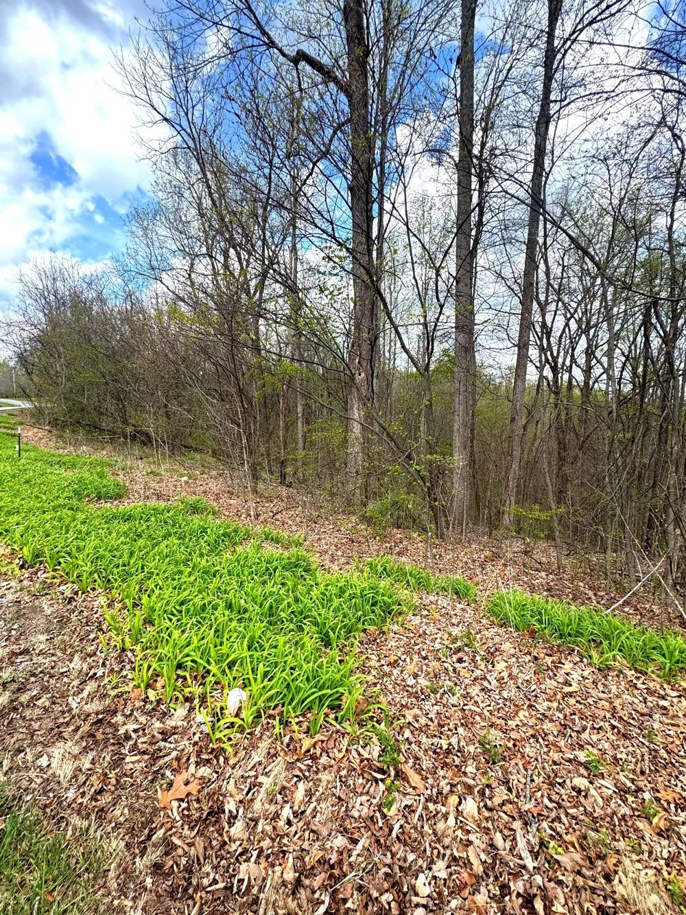 0 Coconut Ridge Rd Smithville, TN 37166