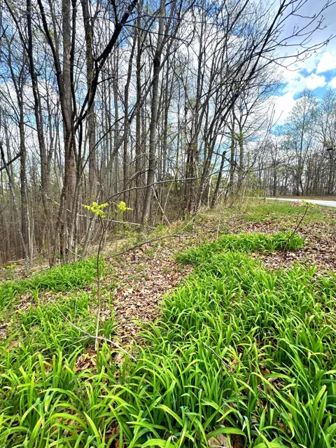0 Coconut Ridge Rd