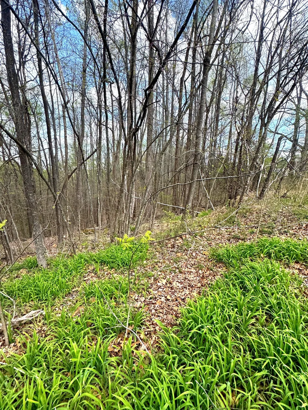 0 Coconut Ridge Rd Smithville, TN 37166