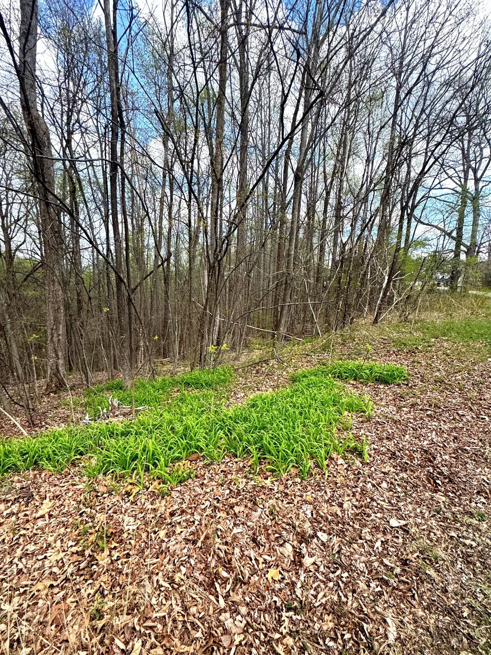 0 Coconut Ridge Rd Smithville, TN 37166