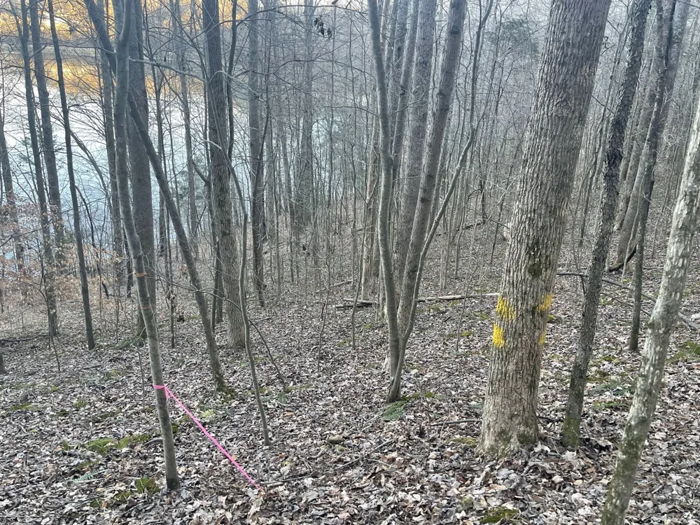 0 Back Bone Rd Sparta, TN 38583
