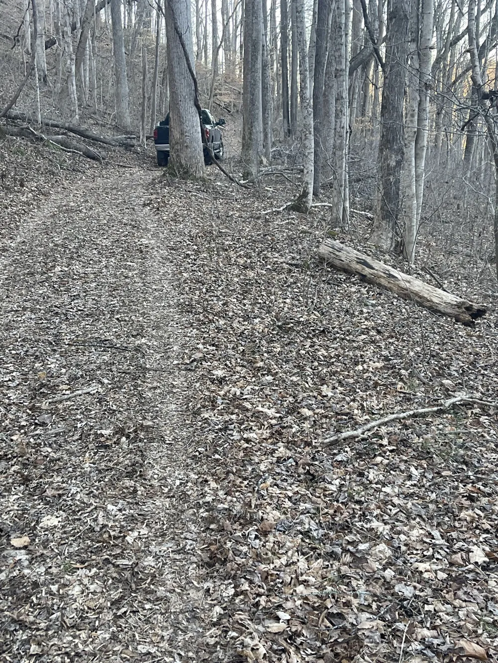 0 Back Bone Rd Sparta, TN 38583