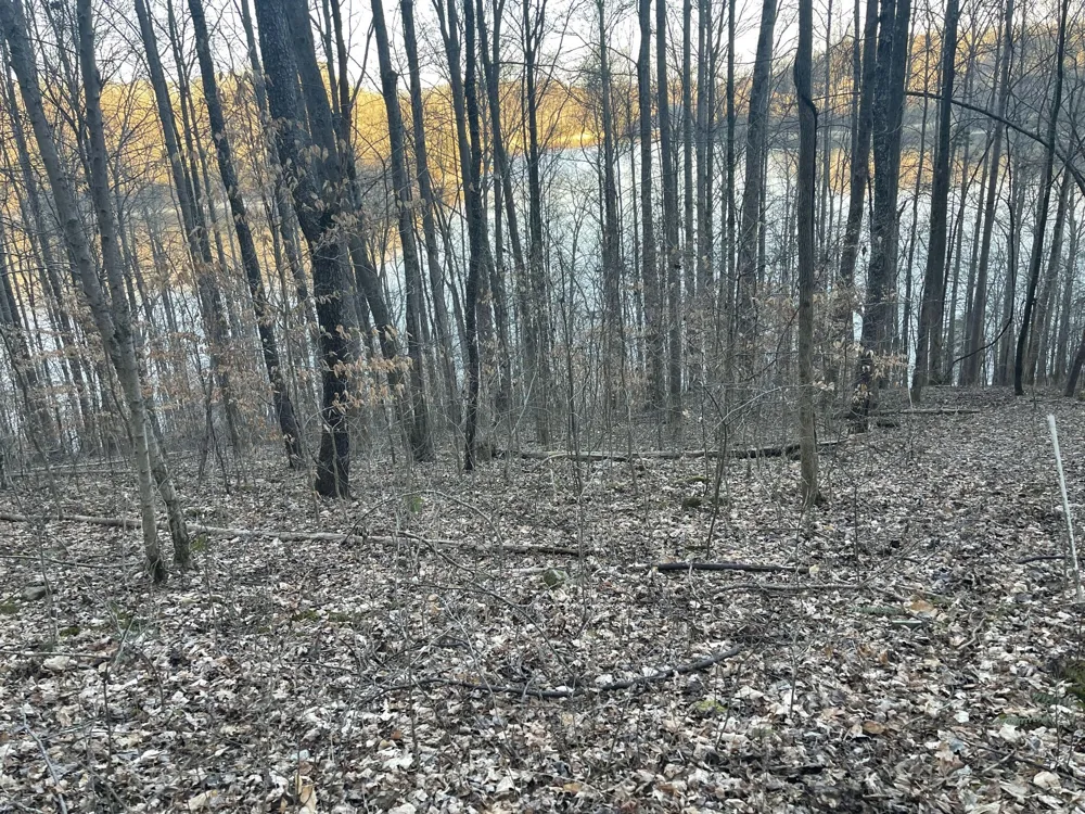 0 Back Bone Rd Sparta, TN 38583